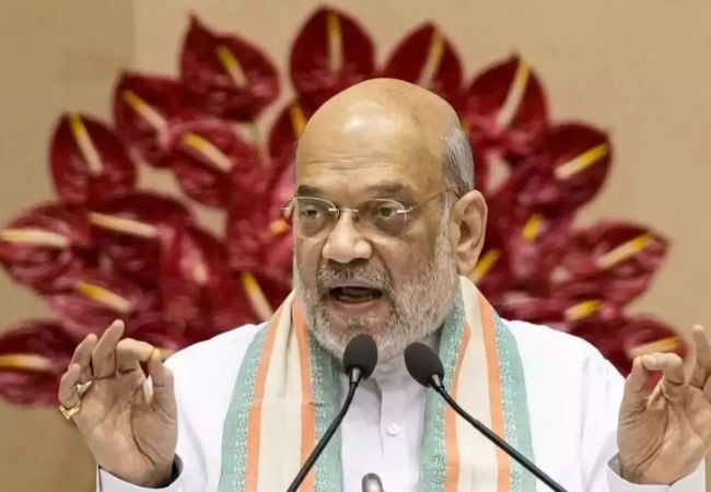 India's dairy sector grows 70 pc in past 11 years: Amit Shah